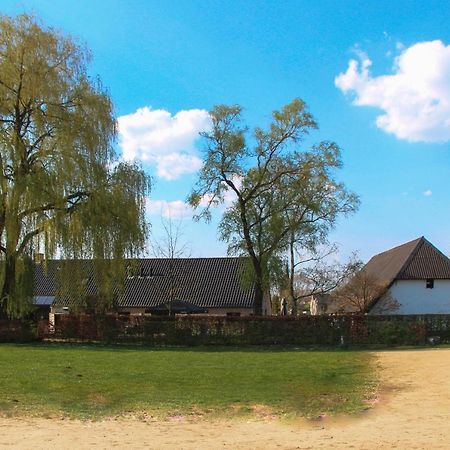 Bouwelhoeve 'T Schuur Grobbendonk Extérieur photo